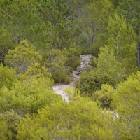 Photo de France - Le Cirque de Mourèze et le Lac du Salagou